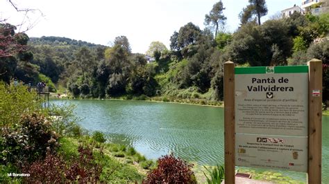 pantano de vallvidrera camí del pantà barcelona|Pantano de Vallvidrera, excursión en Collserola .